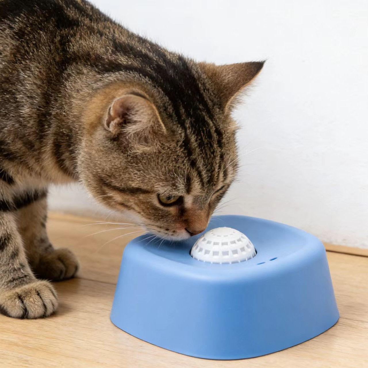 Pet Enrichment Slow Feeder Lick Mat Bowl
